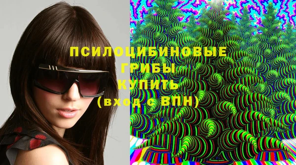 герыч Козельск